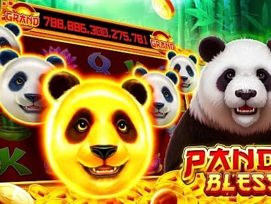 Live Dealer Experience screenshot