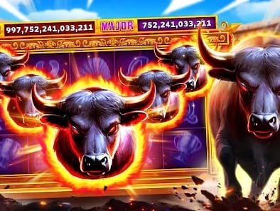Live Casino Interface